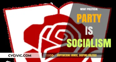 Understanding Socialism: Which Political Party Embraces Its Ideals?