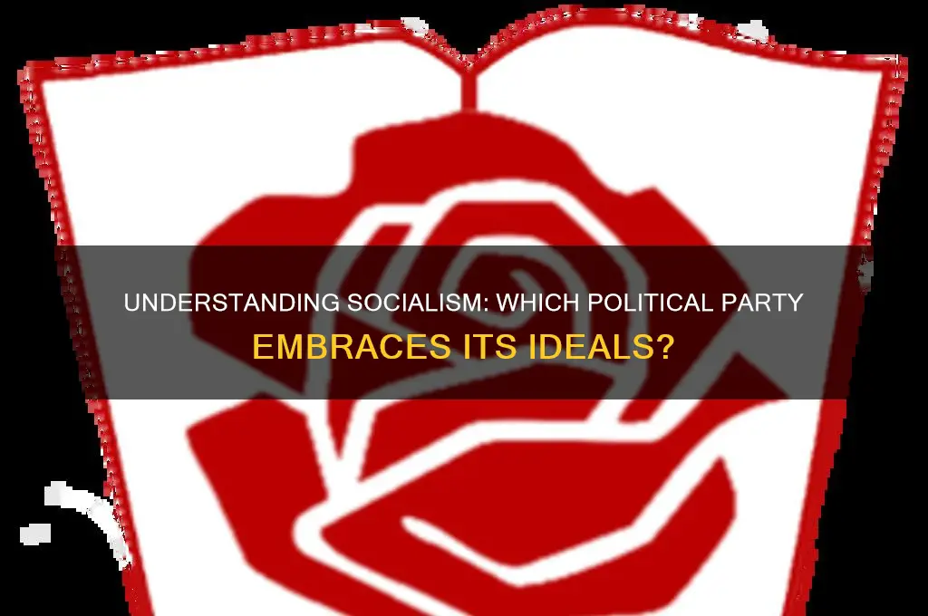 what political party is socialism
