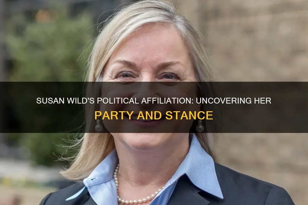 what political party is susan wild