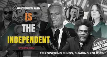 Understanding the Independent Party's Political Affiliation and Stance
