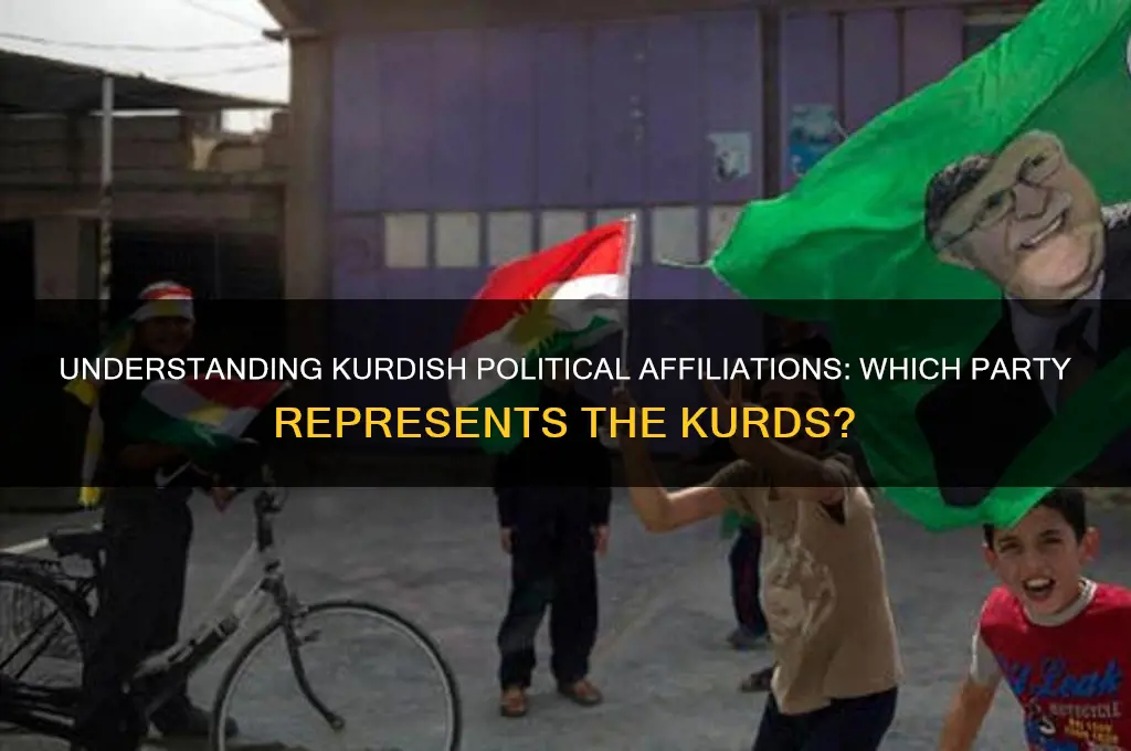 what political party is the kurds