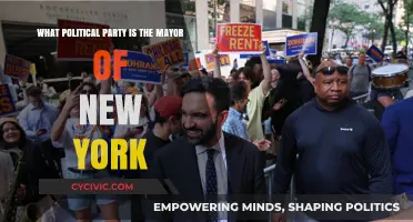 Who Runs NYC? Unveiling the Political Party of New York's Mayor