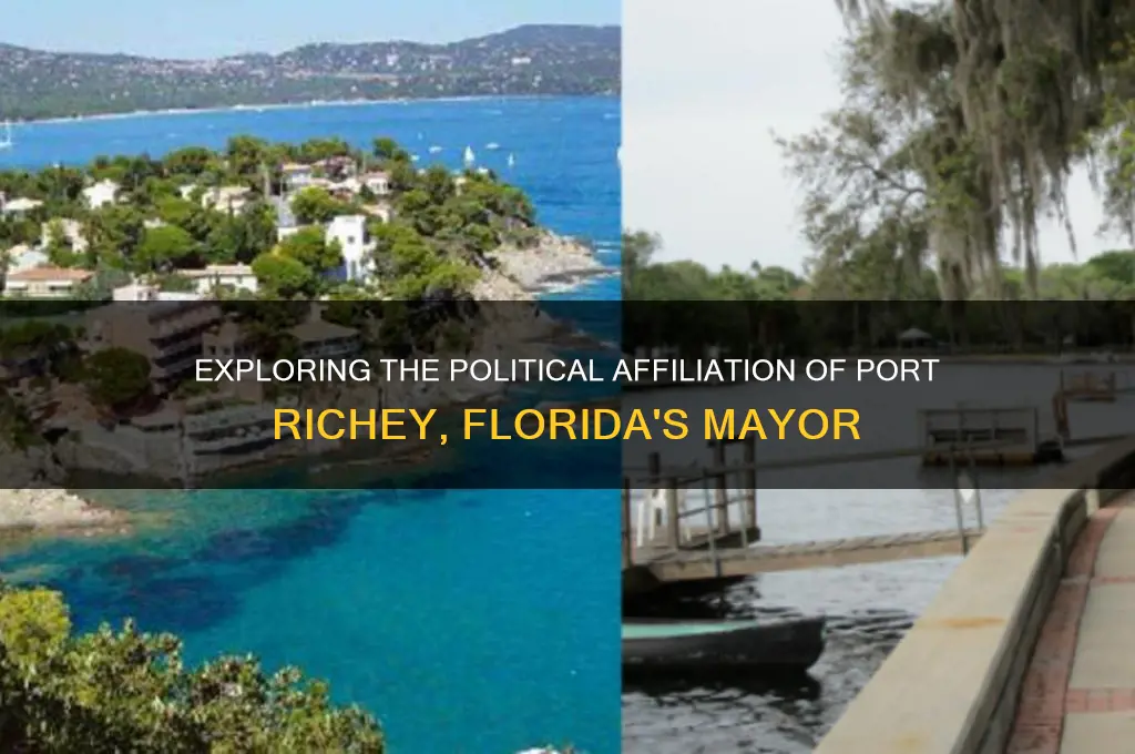 what political party is the mayor of port richey florida