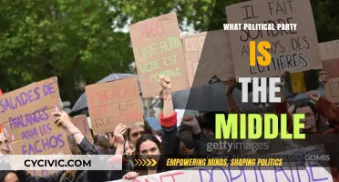 Finding the Middle Ground: Which Political Party Represents Centrism?