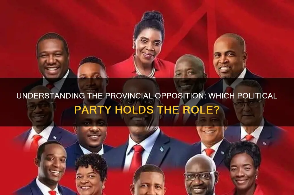 what political party is the opposition in the provincial government
