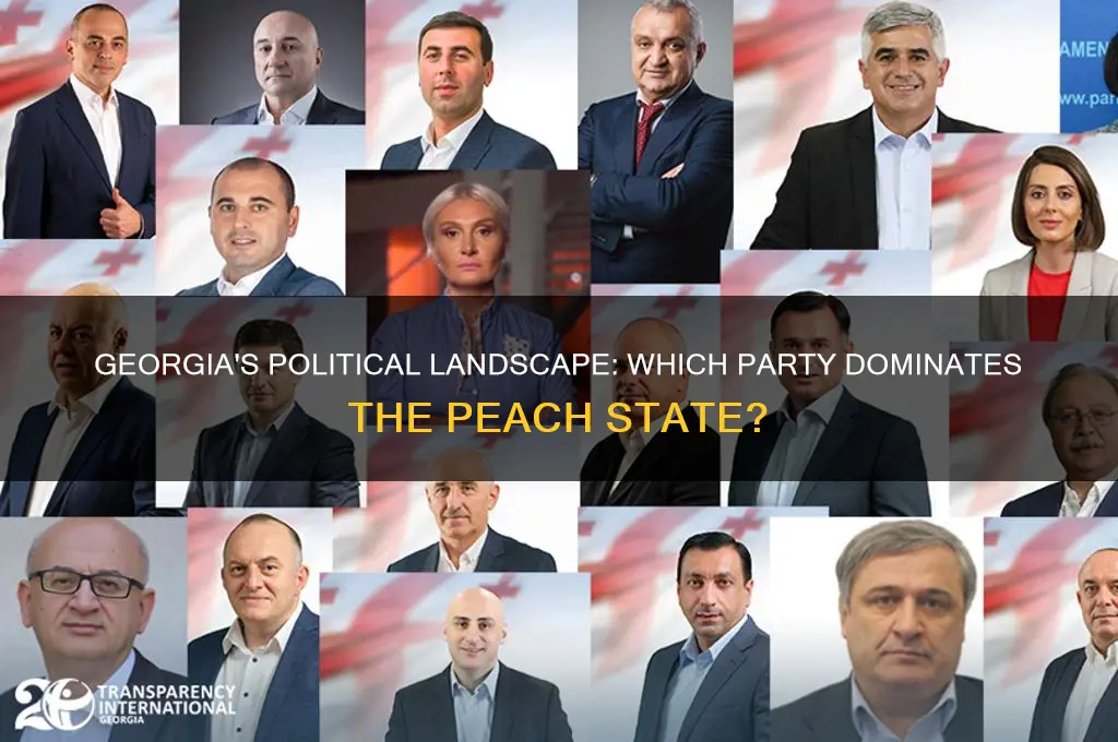 what political party is the state of ga