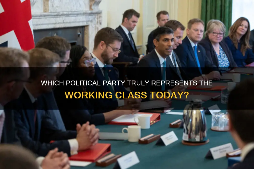 what political party is the working class