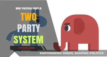 Understanding the Dominance of Two-Party Systems in Modern Politics