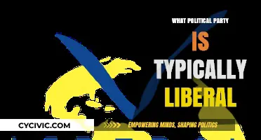 Understanding Liberalism: Which Political Party Typically Embraces Liberal Ideals?
