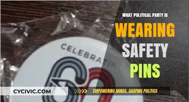 Safety Pins as Political Statements: Which Party is Wearing Them?