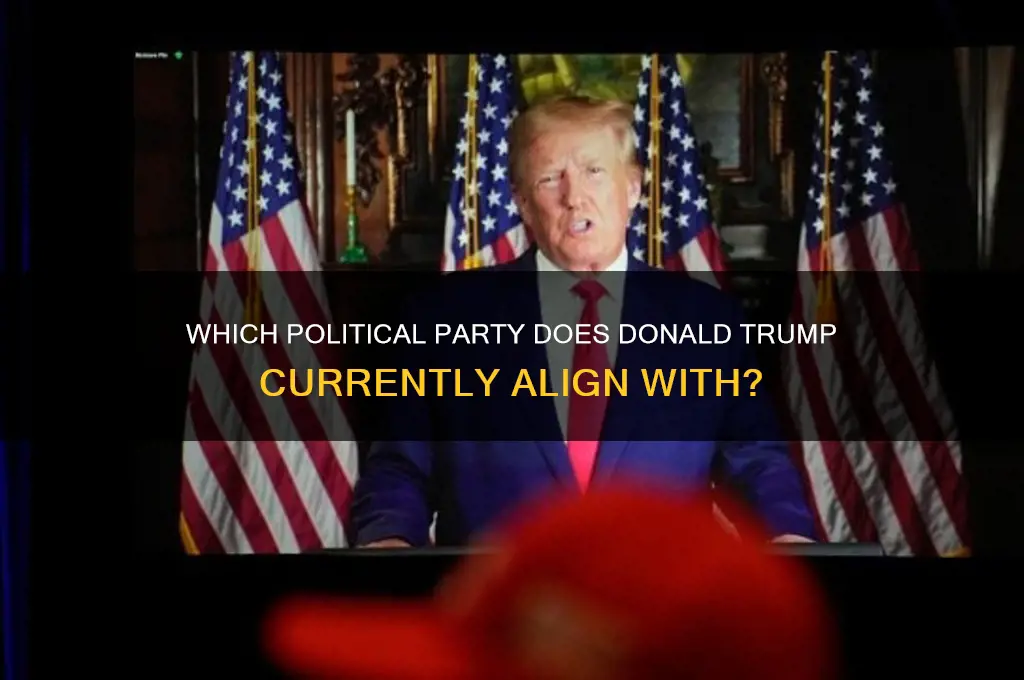 what political party is witb trump