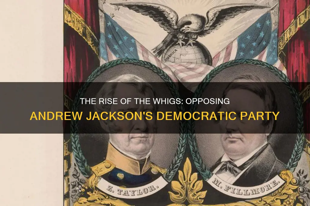 what political party opposed andrew jackson