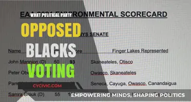 The Historical Opposition to Black Voting Rights: Which Party Stood Against It?