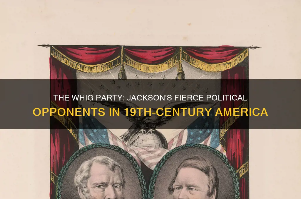 what political party opposed jacson