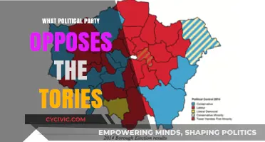 Labour Party: The Main Political Opponent to the UK Tories