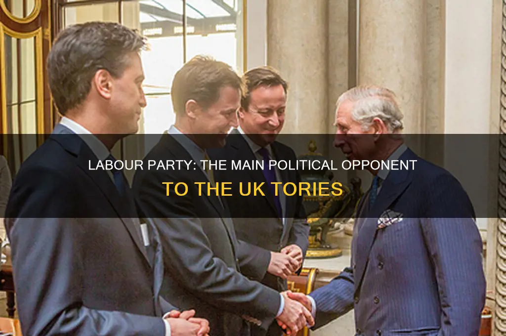 what political party opposes the tories