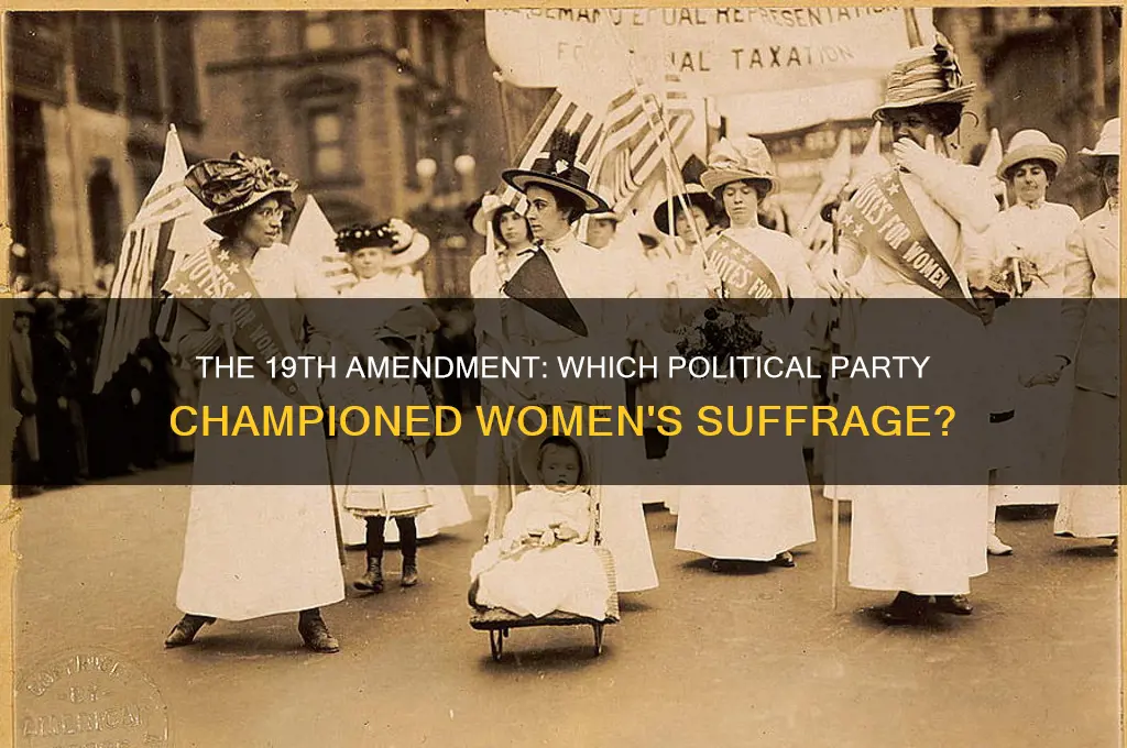 what political party passed the 19th amendment