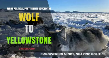 How the Democratic Party Spearheaded Wolf Reintroduction in Yellowstone