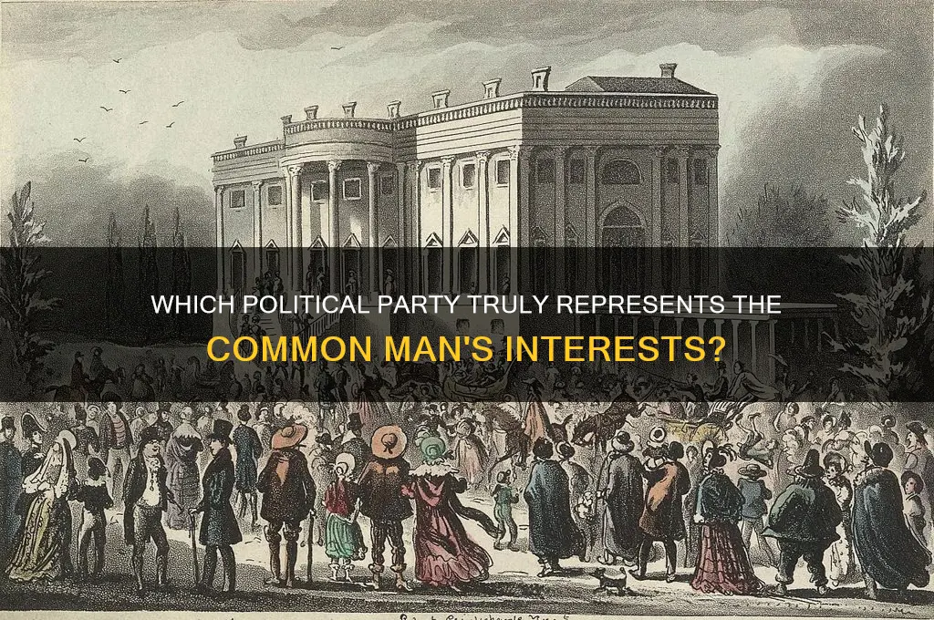 what political party represented the common man