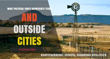 Texas Politics: Urban and Rural Party Representation Explained
