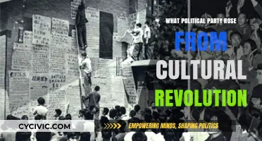 Cultural Revolution's Legacy: The Rise of a New Political Party