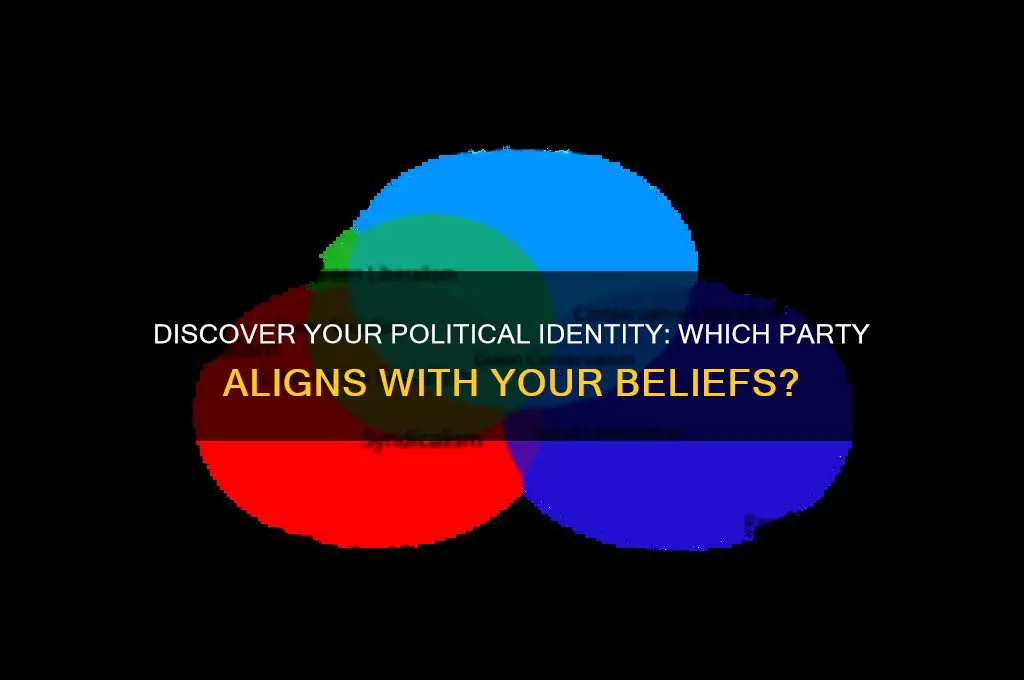 what political party shoudl i be
