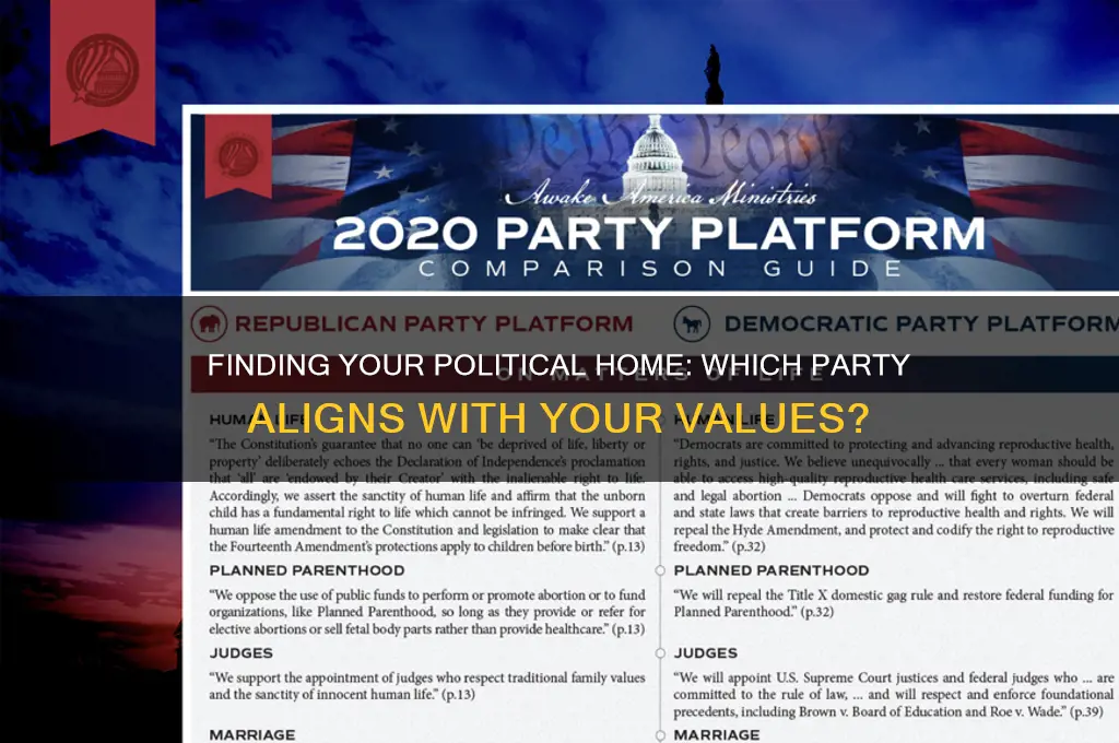 what political party should i be