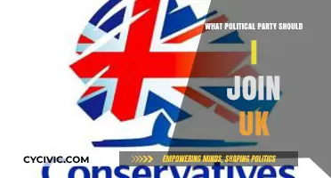 Choosing Your Political Home: A Guide to UK Parties and Values