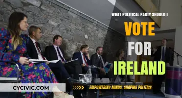 Choosing Your Vote: A Guide to Ireland's Political Parties
