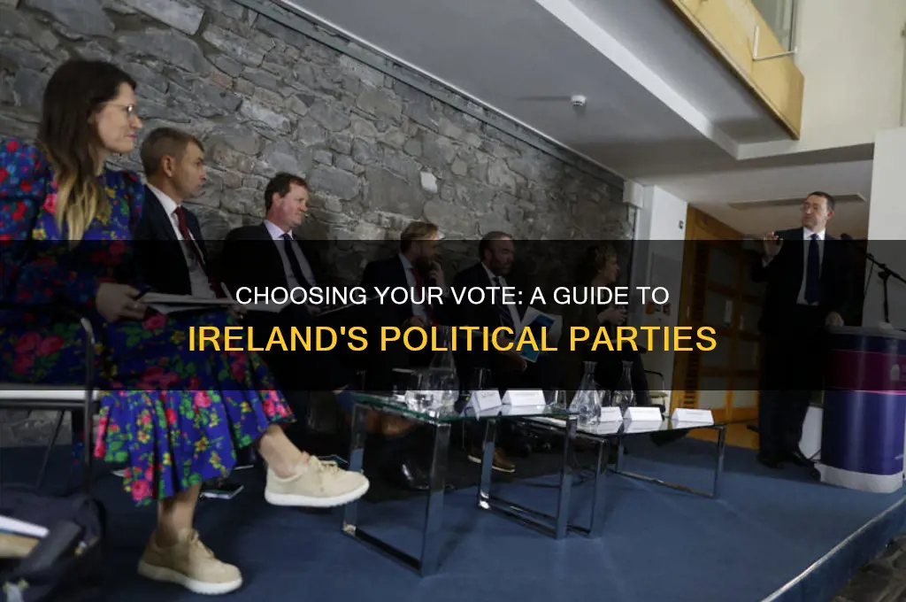 what political party should i vote for ireland