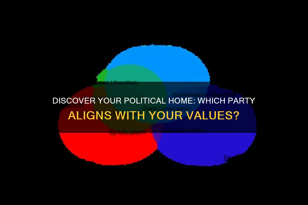 what political party should you belong to