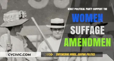 Which Political Party Championed the Women's Suffrage Amendment?