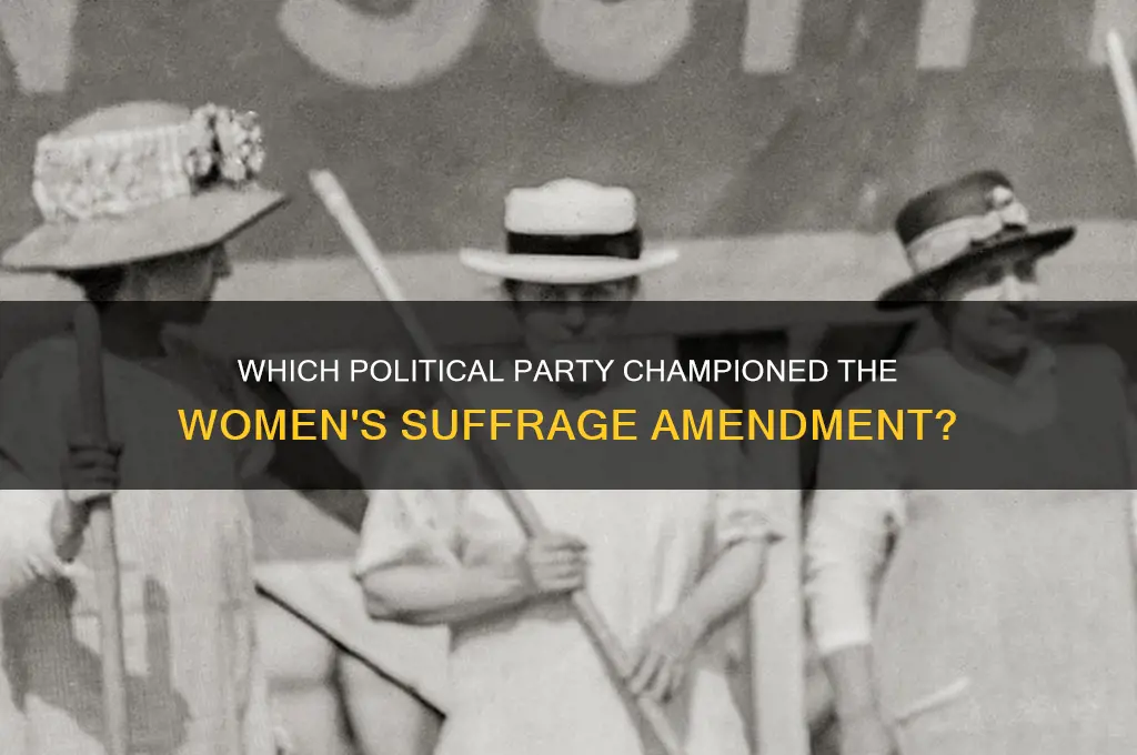what political party support the women suffage amendment