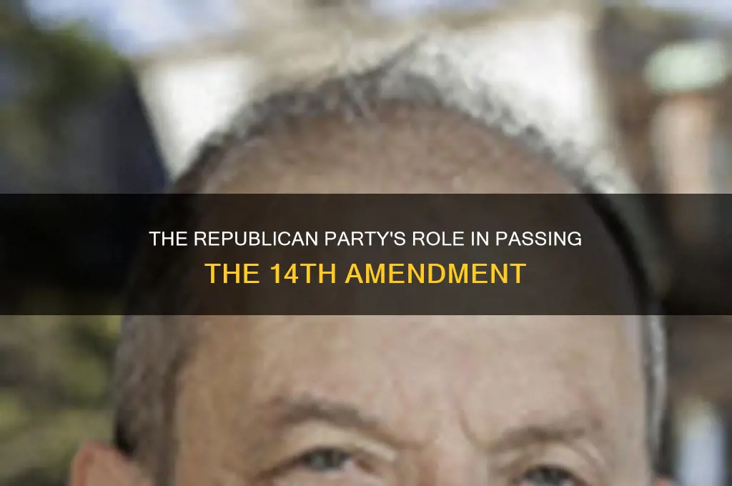 what political party supported 14th amendment