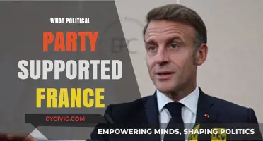 France's Political Allies: Unveiling the Party Backing the Nation