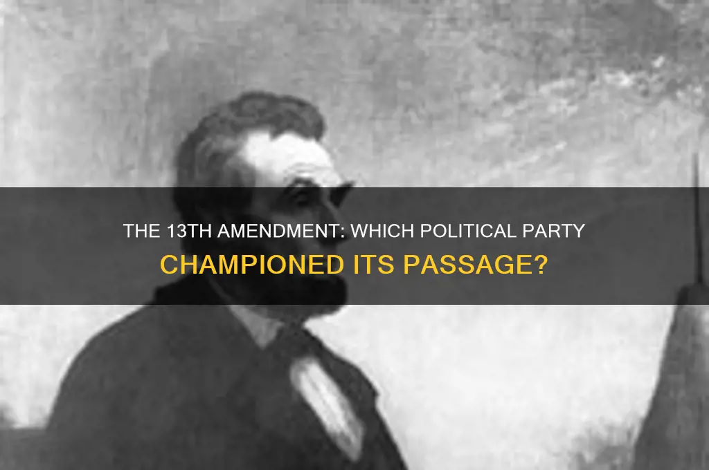 what political party supported the 13th amendment