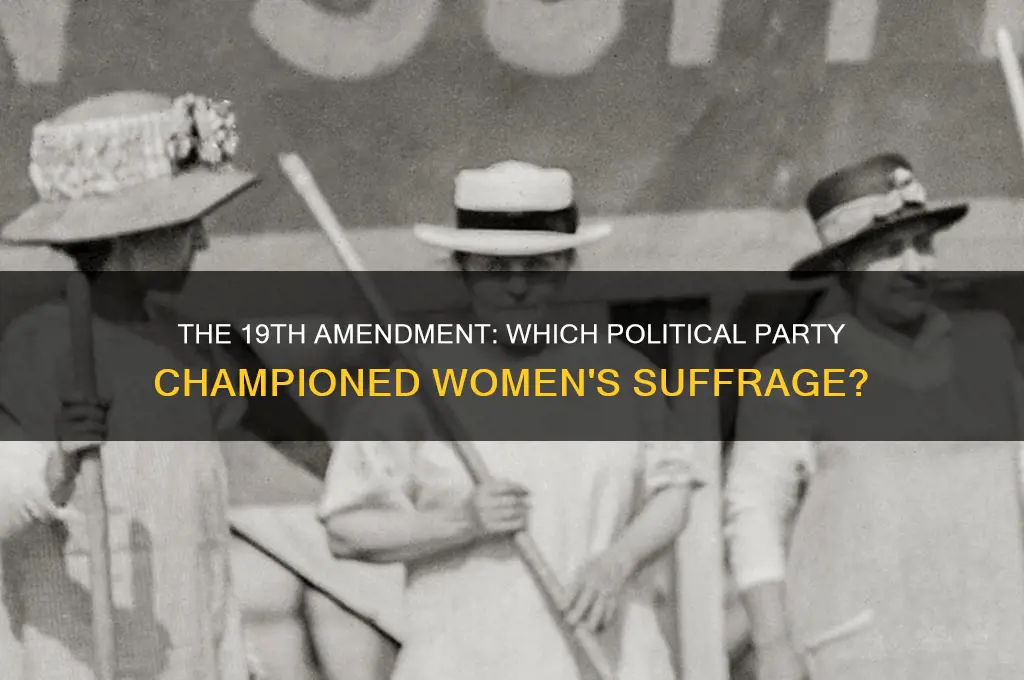 what political party supported the 19th amendment