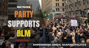 Which Political Party Backs Black Lives Matter: A Comprehensive Analysis