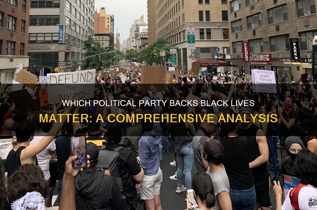 what political party supports blm