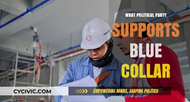 Which Political Party Champions Blue-Collar Workers' Rights and Interests?
