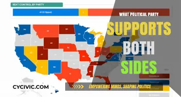 The Political Tightrope: Parties Balancing Both Sides of the Divide