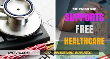 Which Political Party Advocates for Universal Free Healthcare in the US?