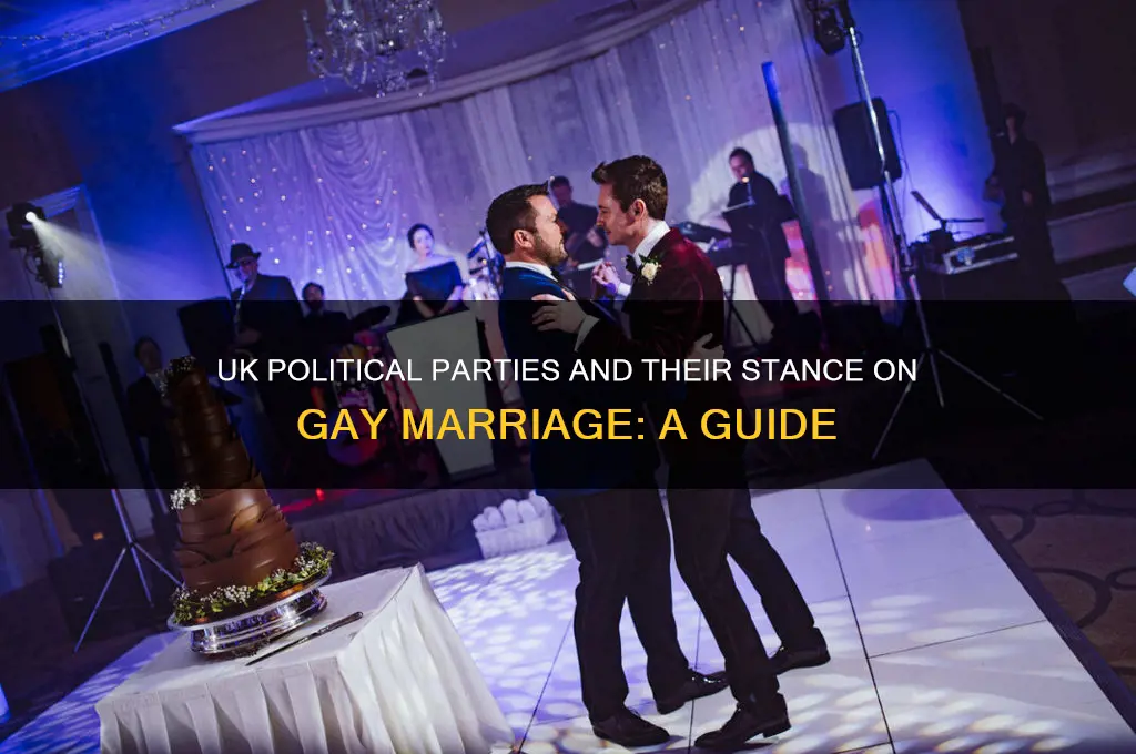 what political party supports gay marriage uk