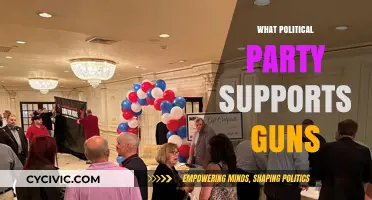 Which Political Party Champions Gun Rights in America?