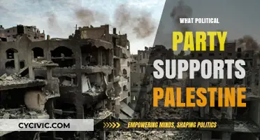 Which Political Parties Globally Advocate for Palestine's Rights and Freedom?