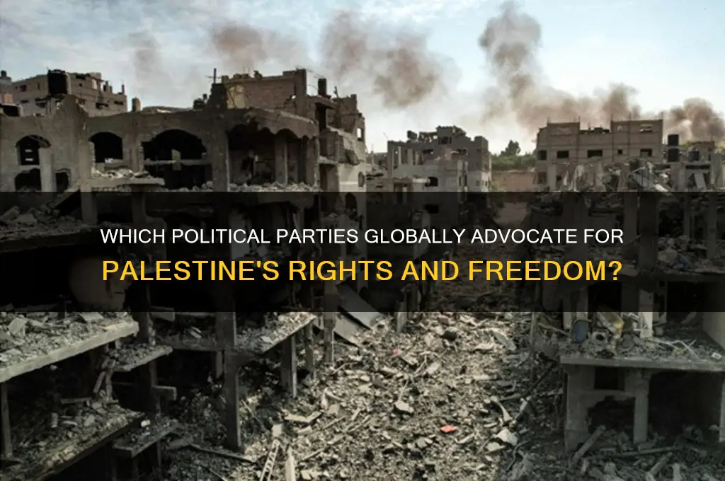 what political party supports palestine