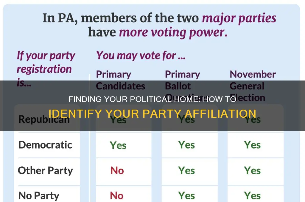 what political party to i associate with