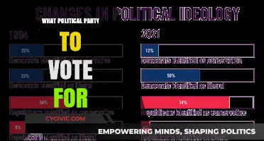 Choosing Your Vote: A Guide to Political Parties and Their Values