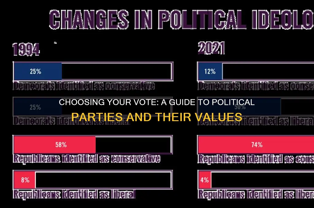 what political party to vote for