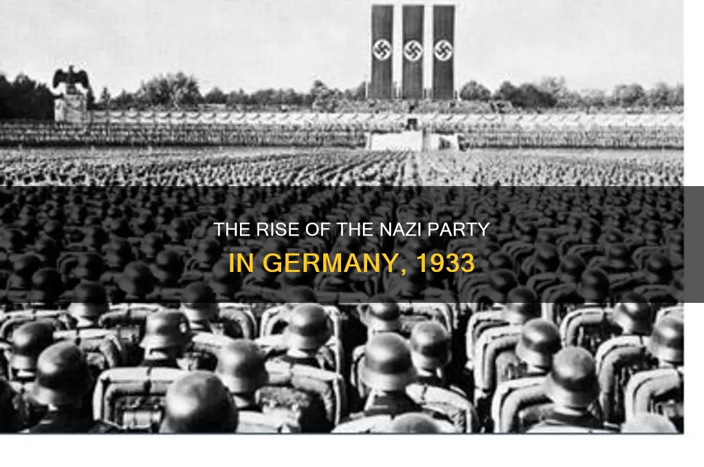 what political party took control of germany in 1933